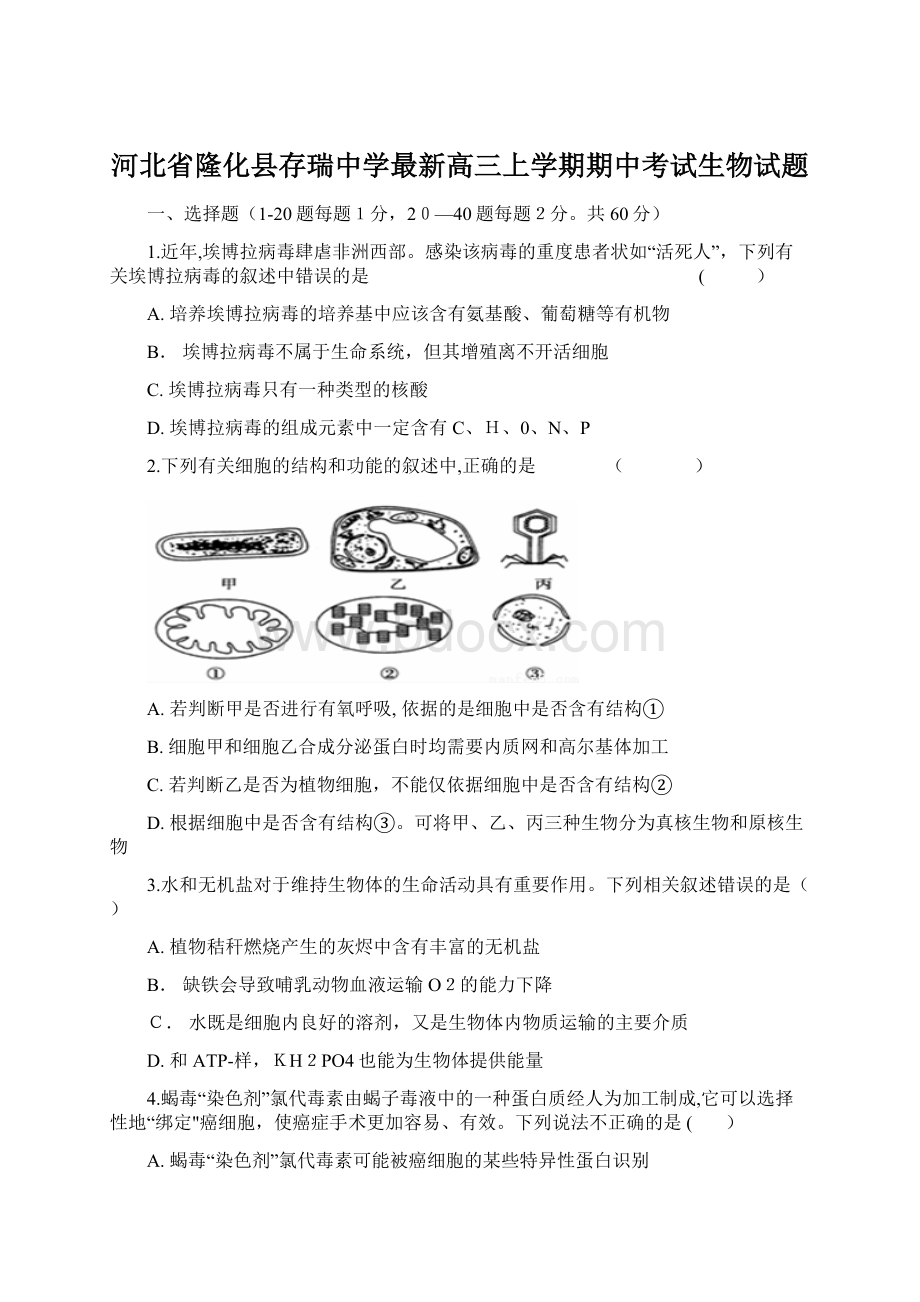 河北省隆化县存瑞中学最新高三上学期期中考试生物试题.docx_第1页