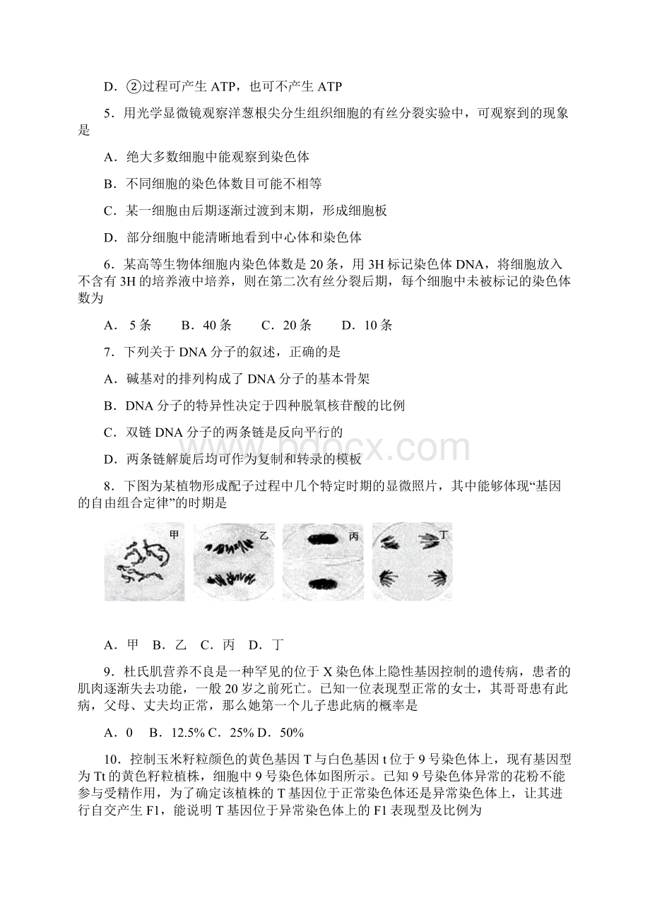 届北京市石景山区高三上学期期末考试生物试题.docx_第2页