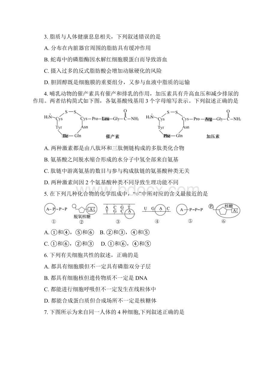 贵阳市第二中学第二学期高一生物期末考试.docx_第2页