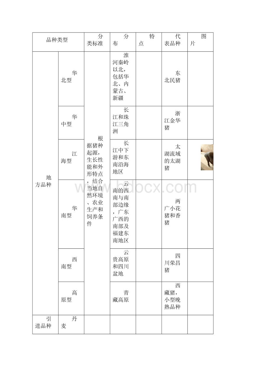 猪肉分割基本知识Word格式文档下载.docx_第2页