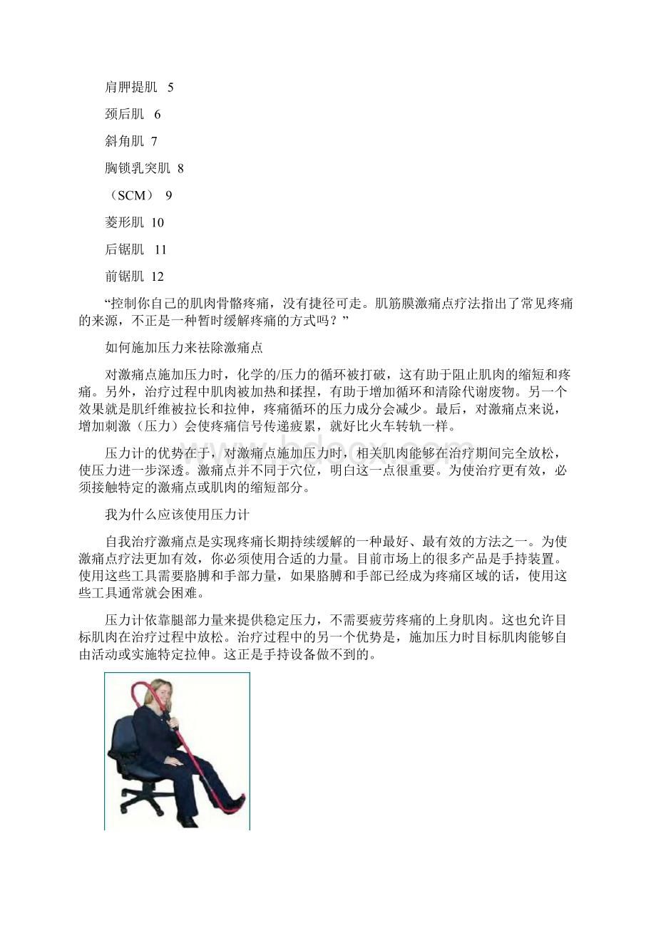 激痛点图文中文精校版.docx_第3页