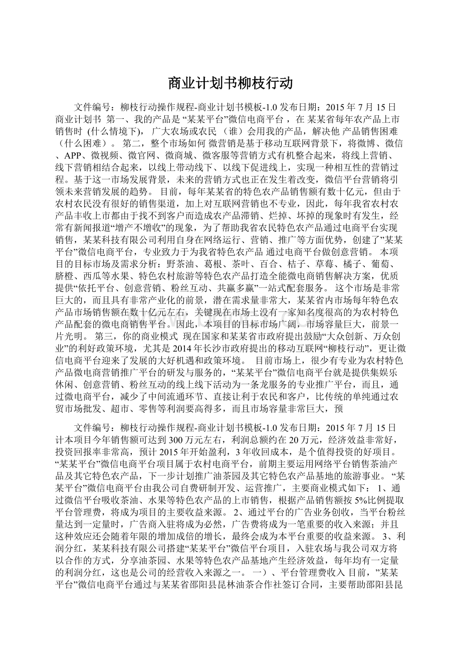 商业计划书柳枝行动Word文档下载推荐.docx