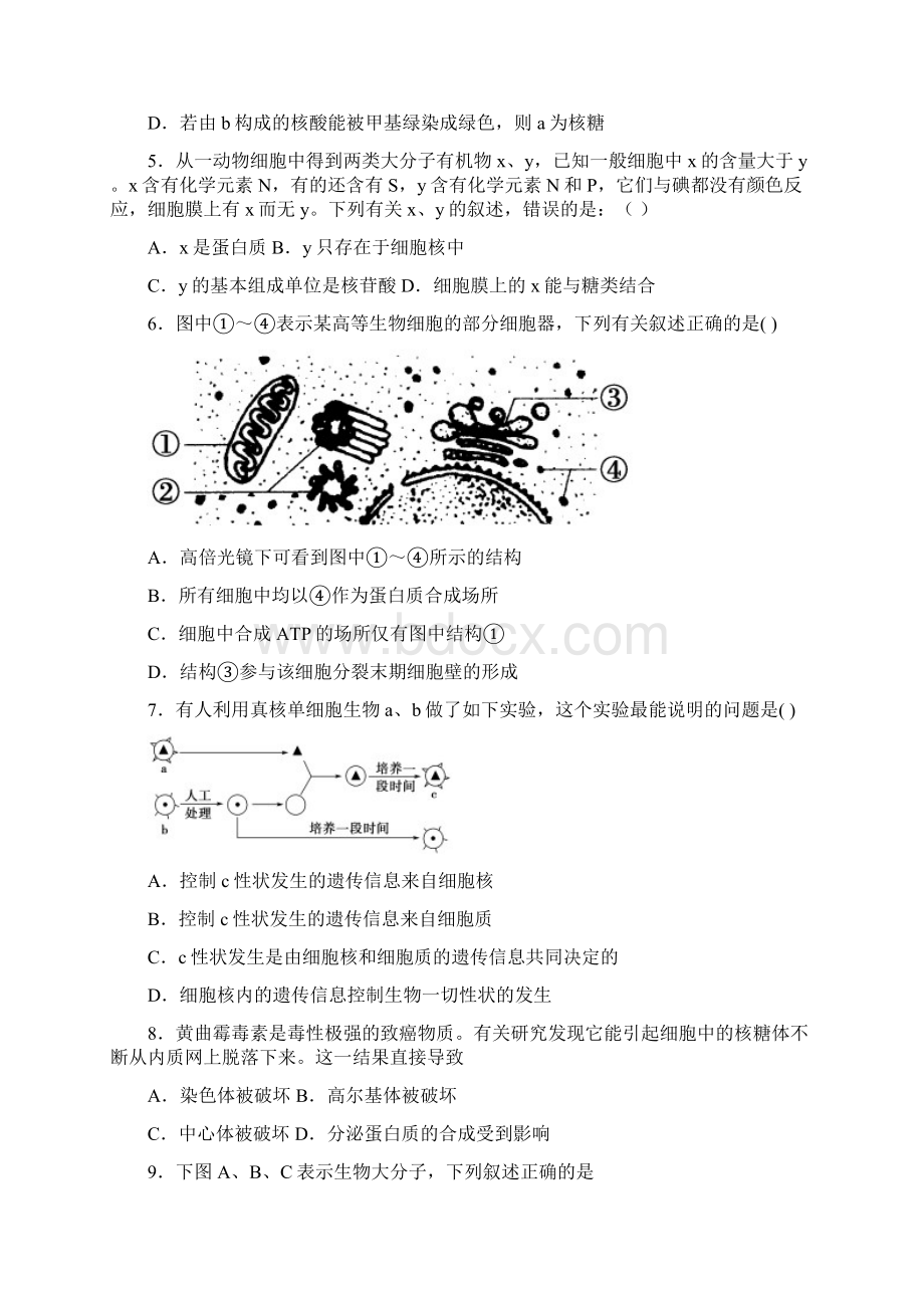 河南省许昌县学年高一第三次月考生物试题.docx_第2页