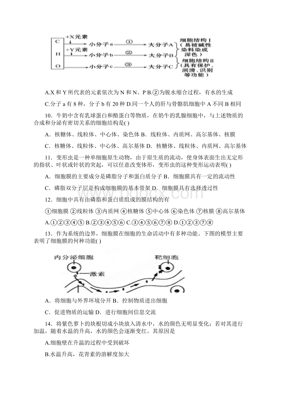 河南省许昌县学年高一第三次月考生物试题.docx_第3页