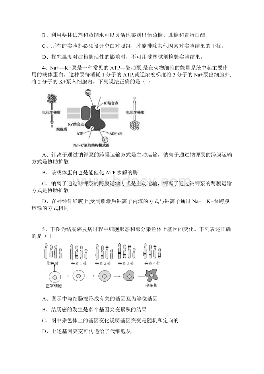 安徽省巢湖市柘皋中学届高三生物上学期第四次月考试题.docx_第2页