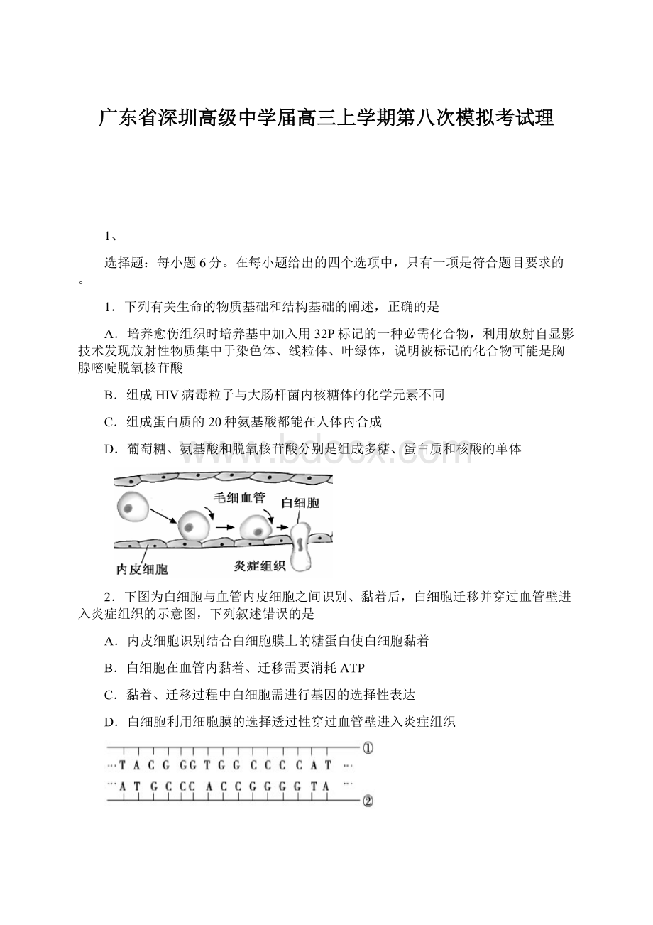 广东省深圳高级中学届高三上学期第八次模拟考试理.docx