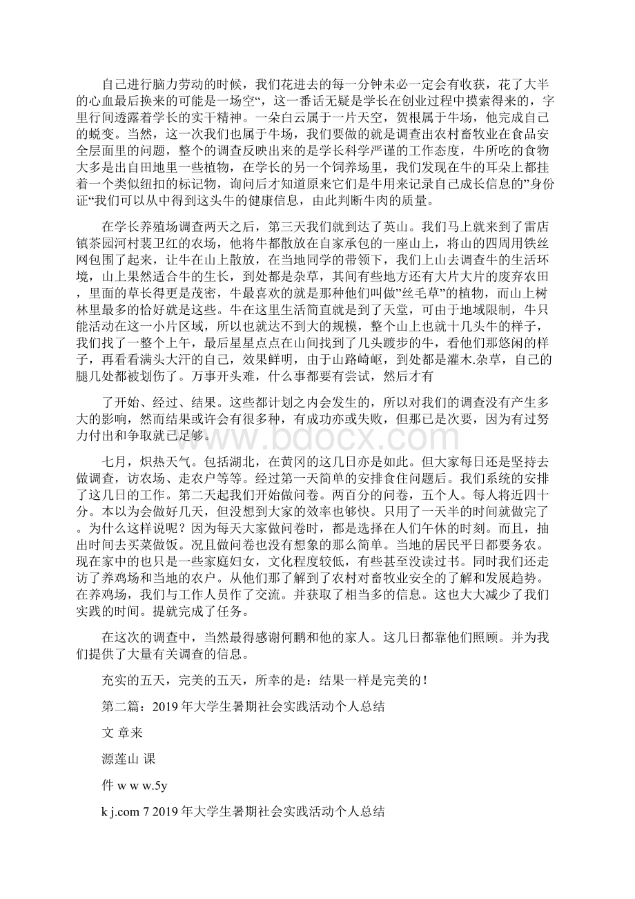 大学生暑期社会实践活动个人总结精选多篇.docx_第2页