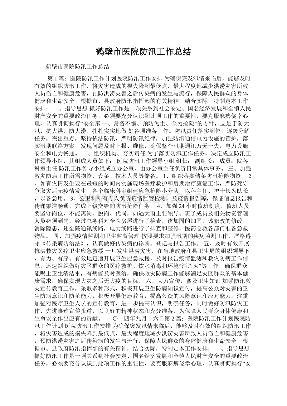 鹤壁市医院防汛工作总结文档格式.docx_第1页