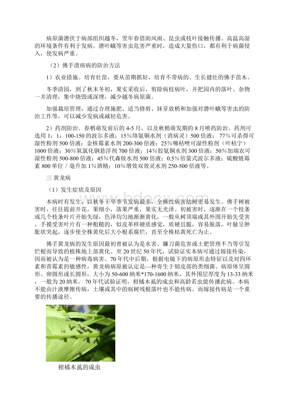 佛手技术Word文件下载.docx_第2页