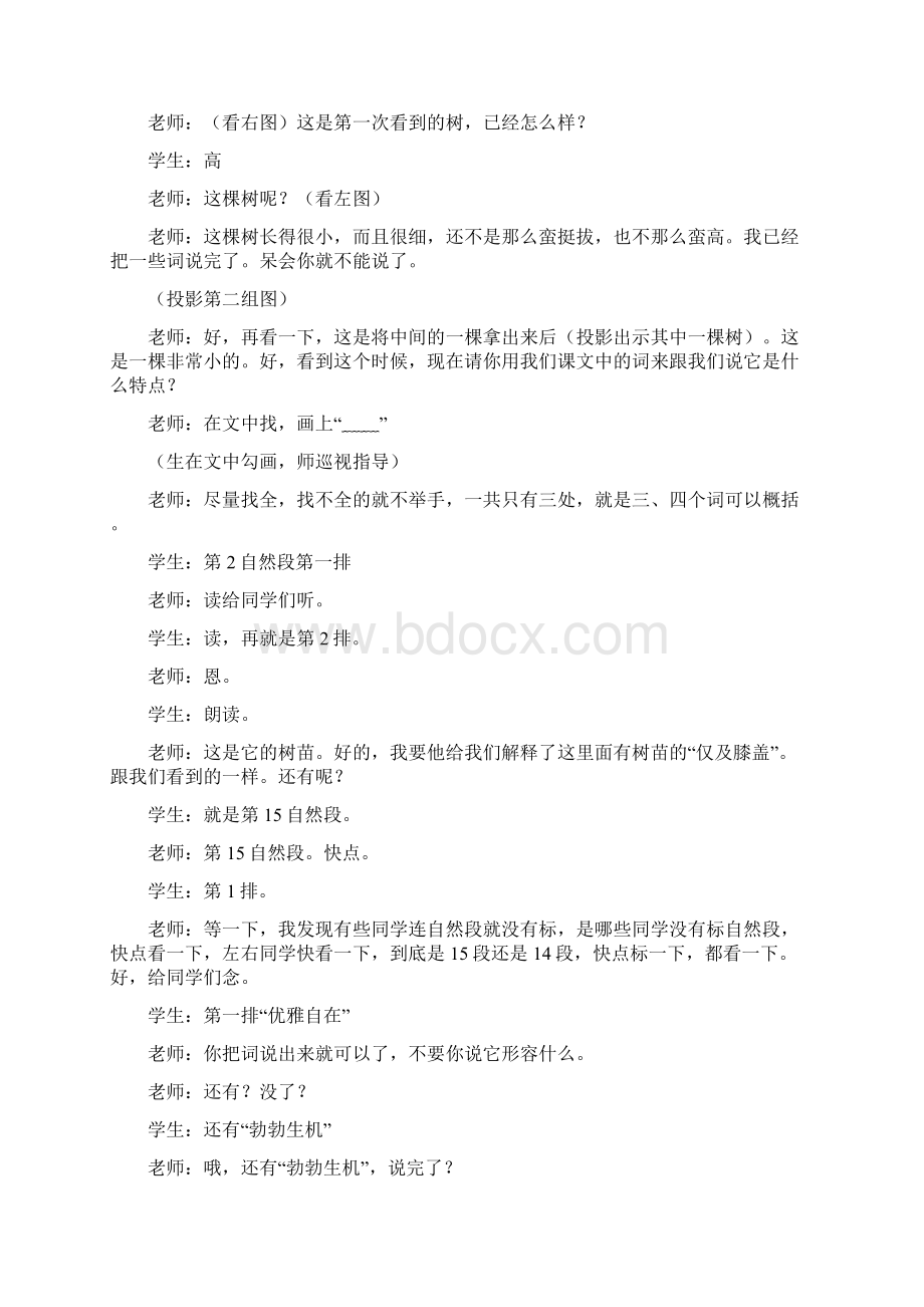 人教版小学语文六年级下册3桃花心木课堂实录.docx_第3页