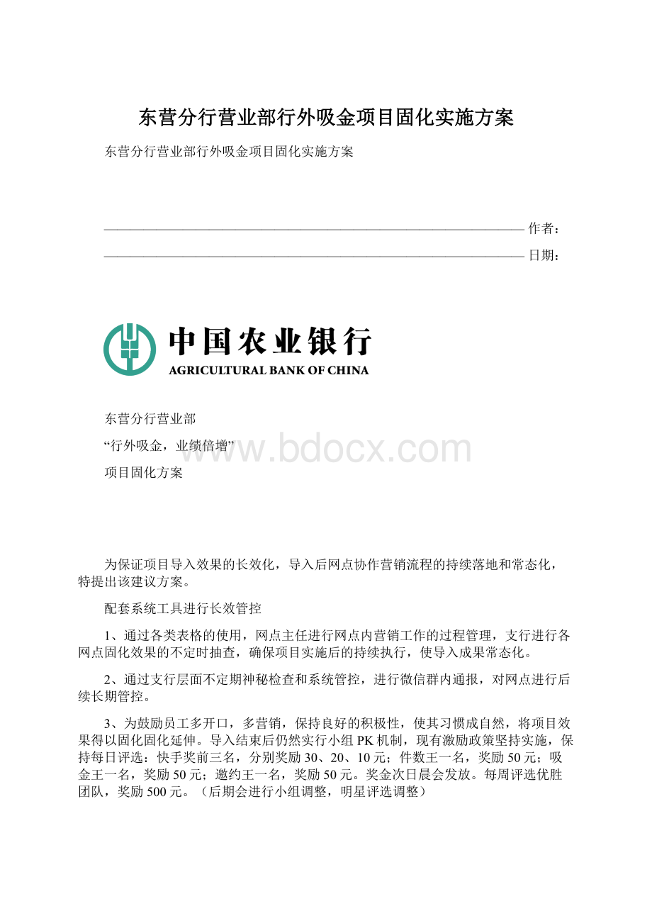 东营分行营业部行外吸金项目固化实施方案文档格式.docx