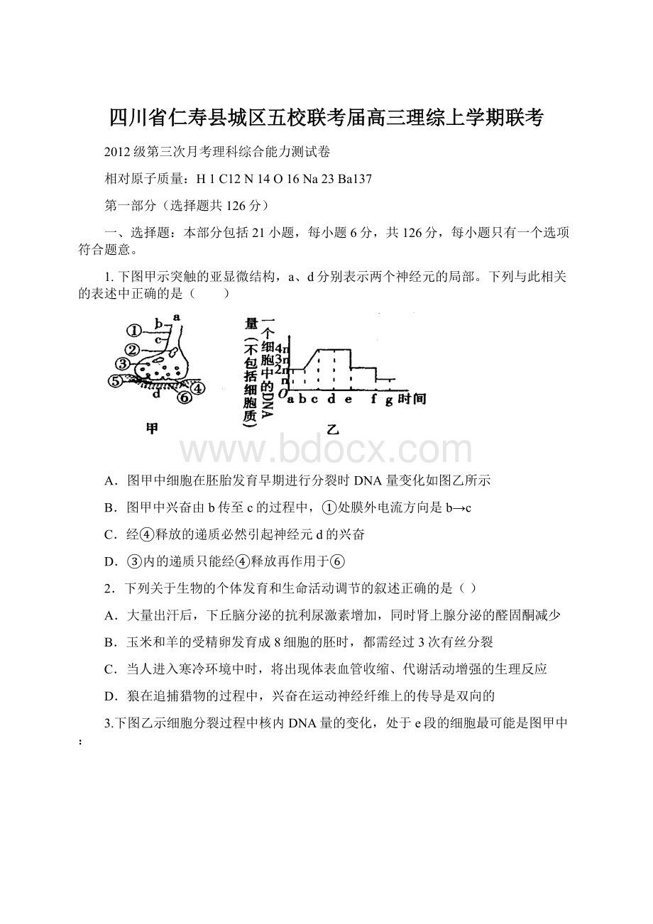 四川省仁寿县城区五校联考届高三理综上学期联考.docx_第1页