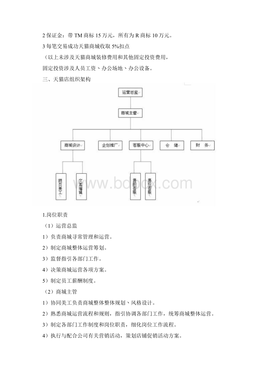 天猫运营策划书样本.docx_第2页