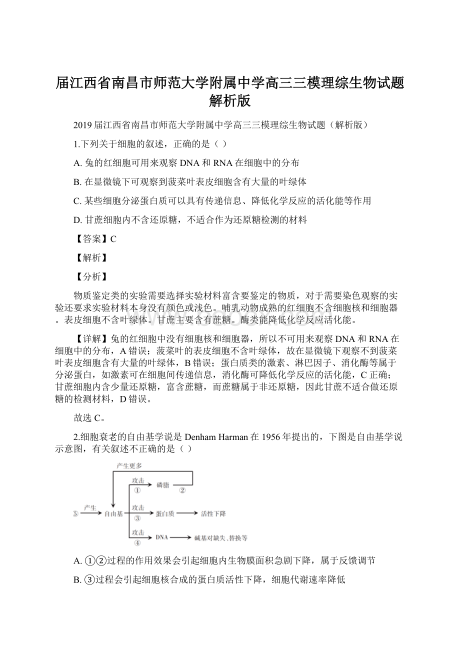 届江西省南昌市师范大学附属中学高三三模理综生物试题解析版.docx