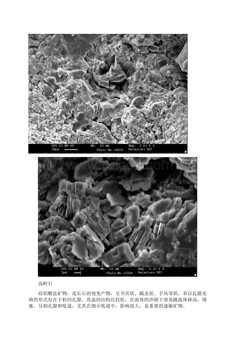 粘土矿物扫描电镜描述文字图片升级版.docx_第2页