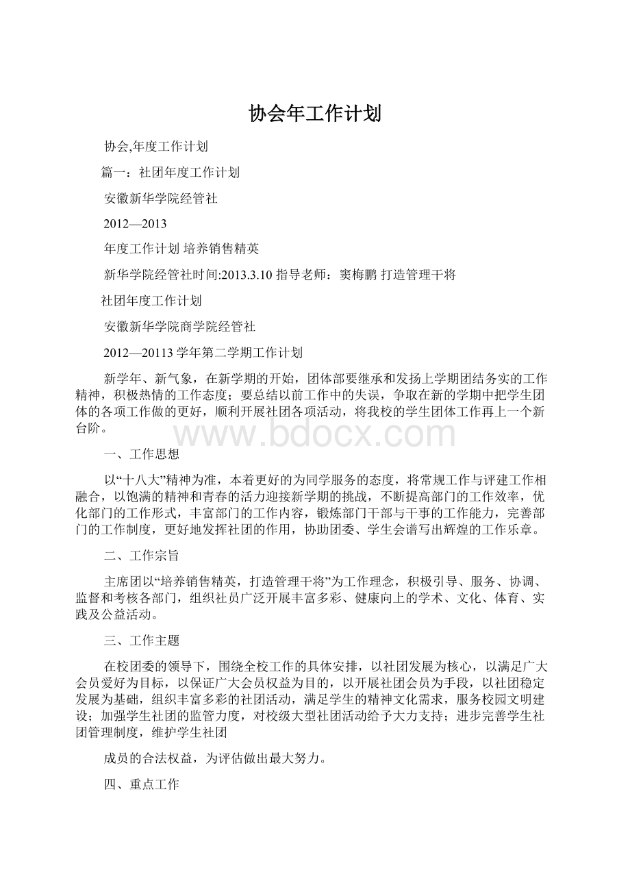 协会年工作计划Word文档下载推荐.docx_第1页