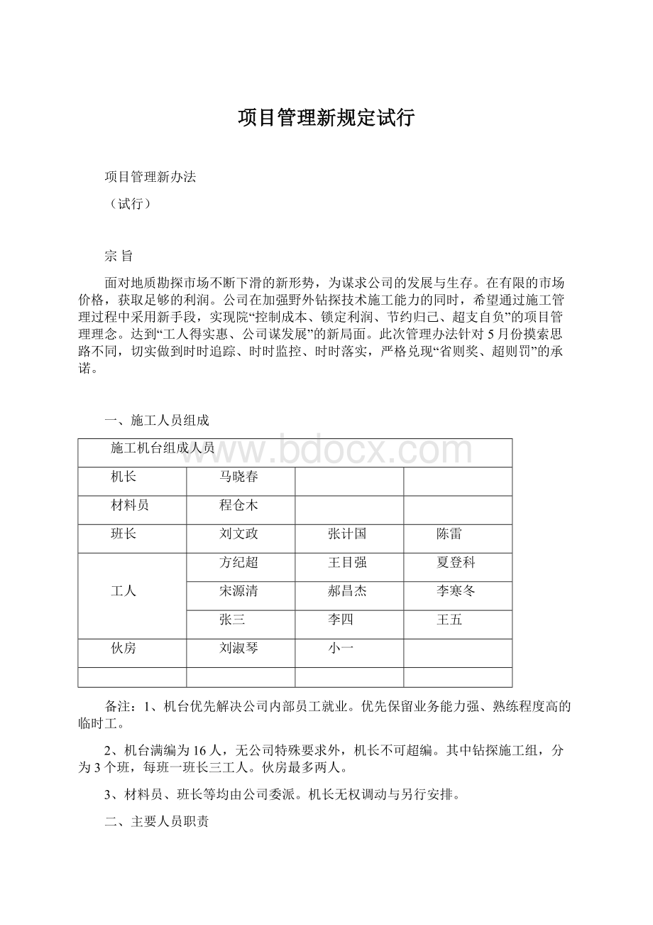 项目管理新规定试行.docx_第1页