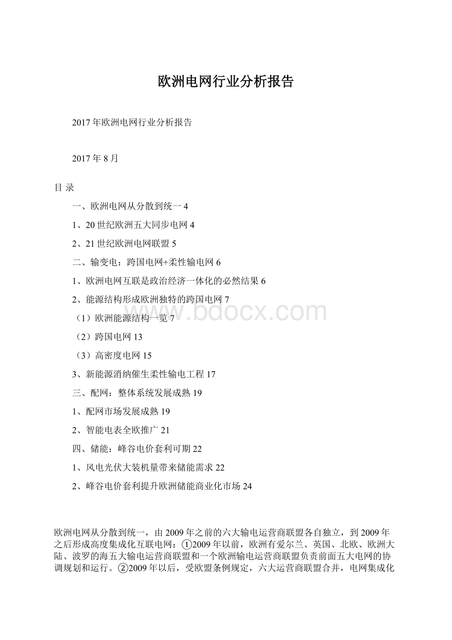 欧洲电网行业分析报告Word下载.docx_第1页