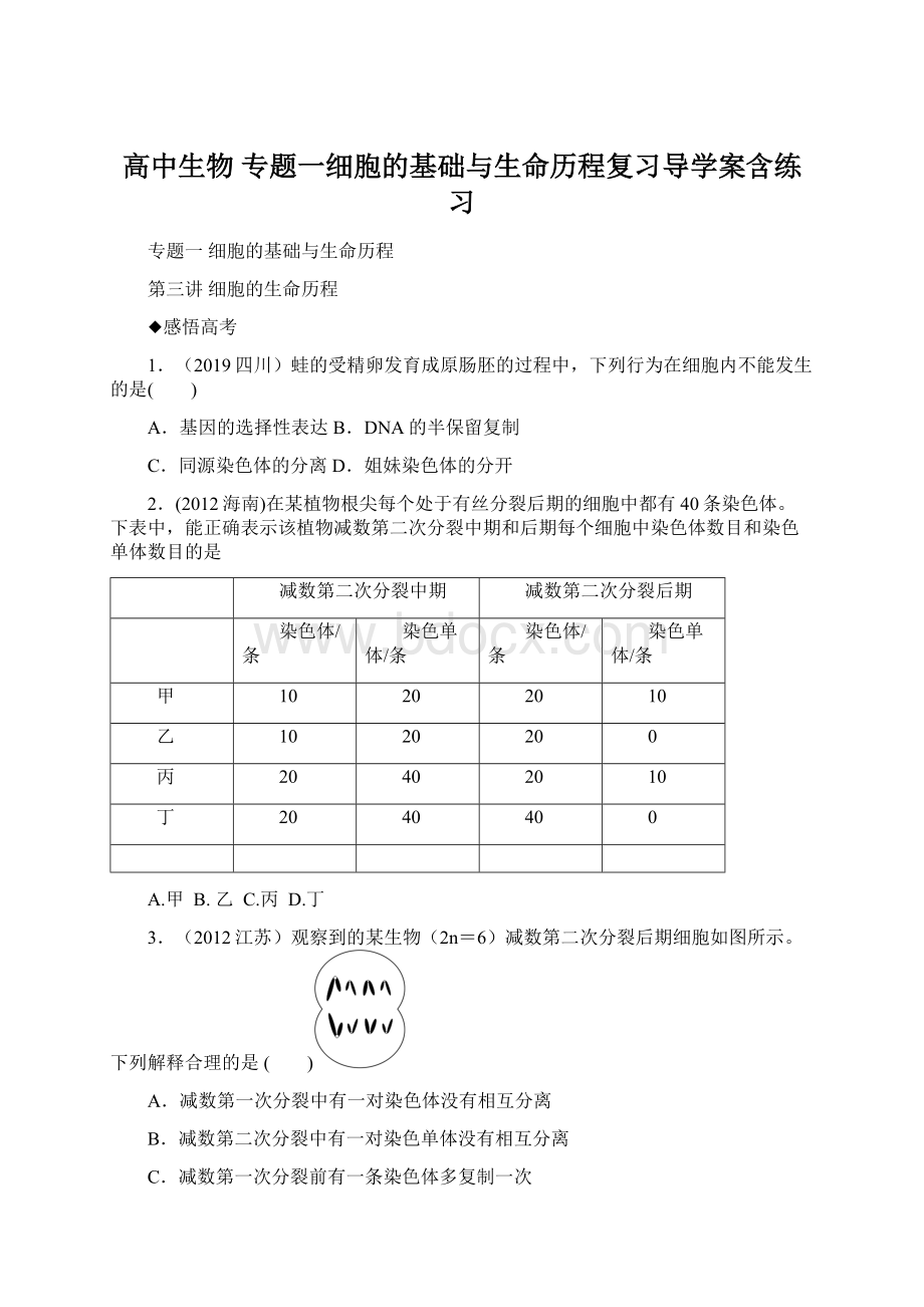 高中生物 专题一细胞的基础与生命历程复习导学案含练习Word文档下载推荐.docx_第1页