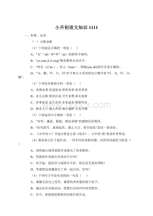 小升初语文知识1111Word格式文档下载.docx