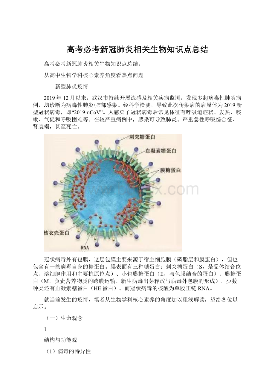 高考必考新冠肺炎相关生物知识点总结Word下载.docx