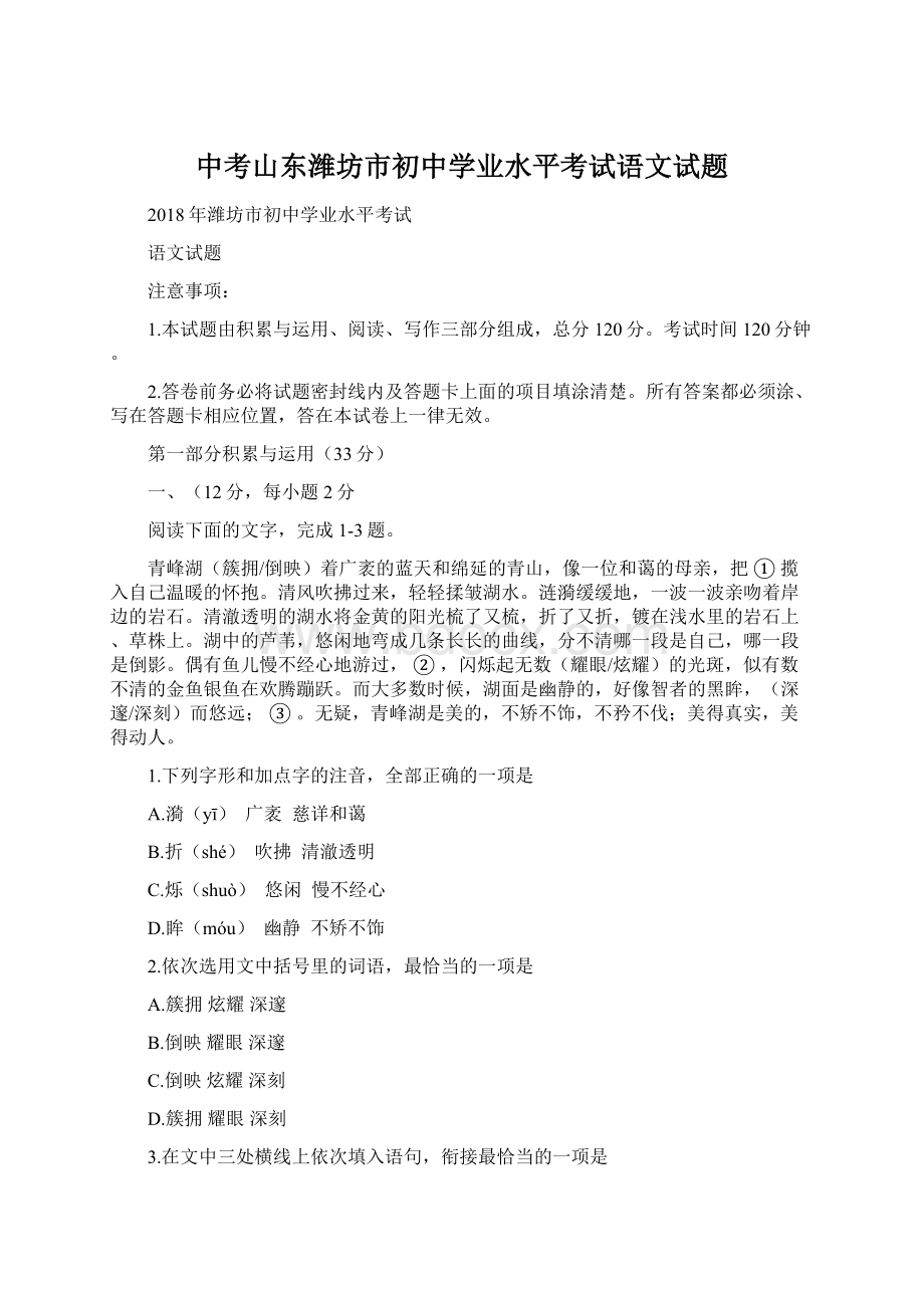 中考山东潍坊市初中学业水平考试语文试题Word文档格式.docx