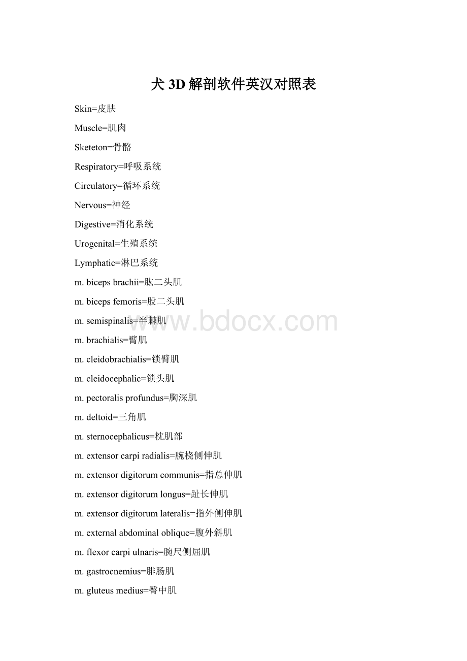 犬3D解剖软件英汉对照表Word文档下载推荐.docx