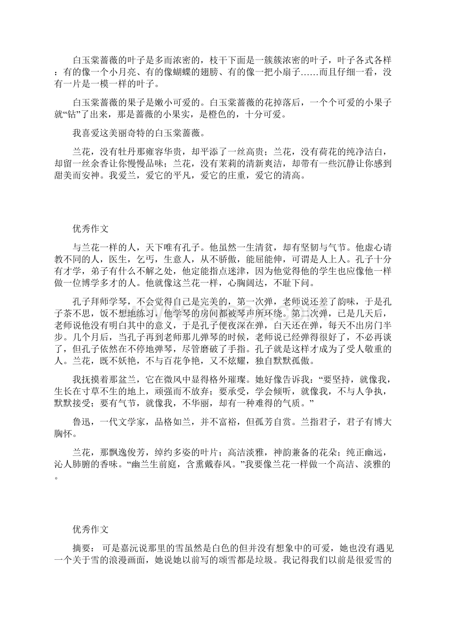 中考优秀作文关于花的作文Word文档下载推荐.docx_第2页