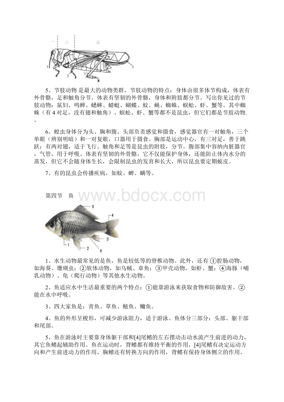 人教版生物八年级上册考点汇总适合学前预习考试复习检查背诵最全最细最实用已排版可直接下载打印.docx_第3页