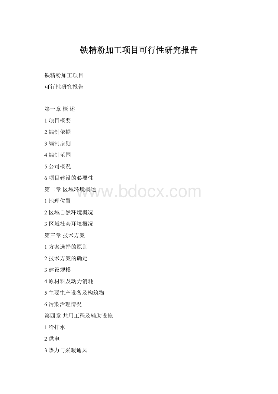 铁精粉加工项目可行性研究报告Word文档格式.docx