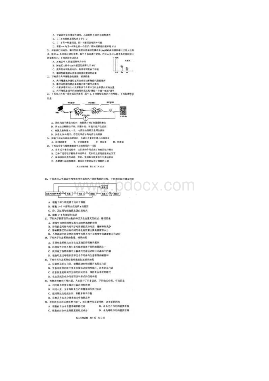 山东省淄博市届高三上学期期末考试 生物Word文档格式.docx_第3页