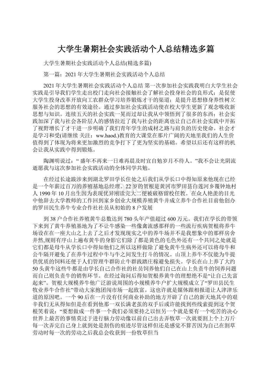 大学生暑期社会实践活动个人总结精选多篇.docx