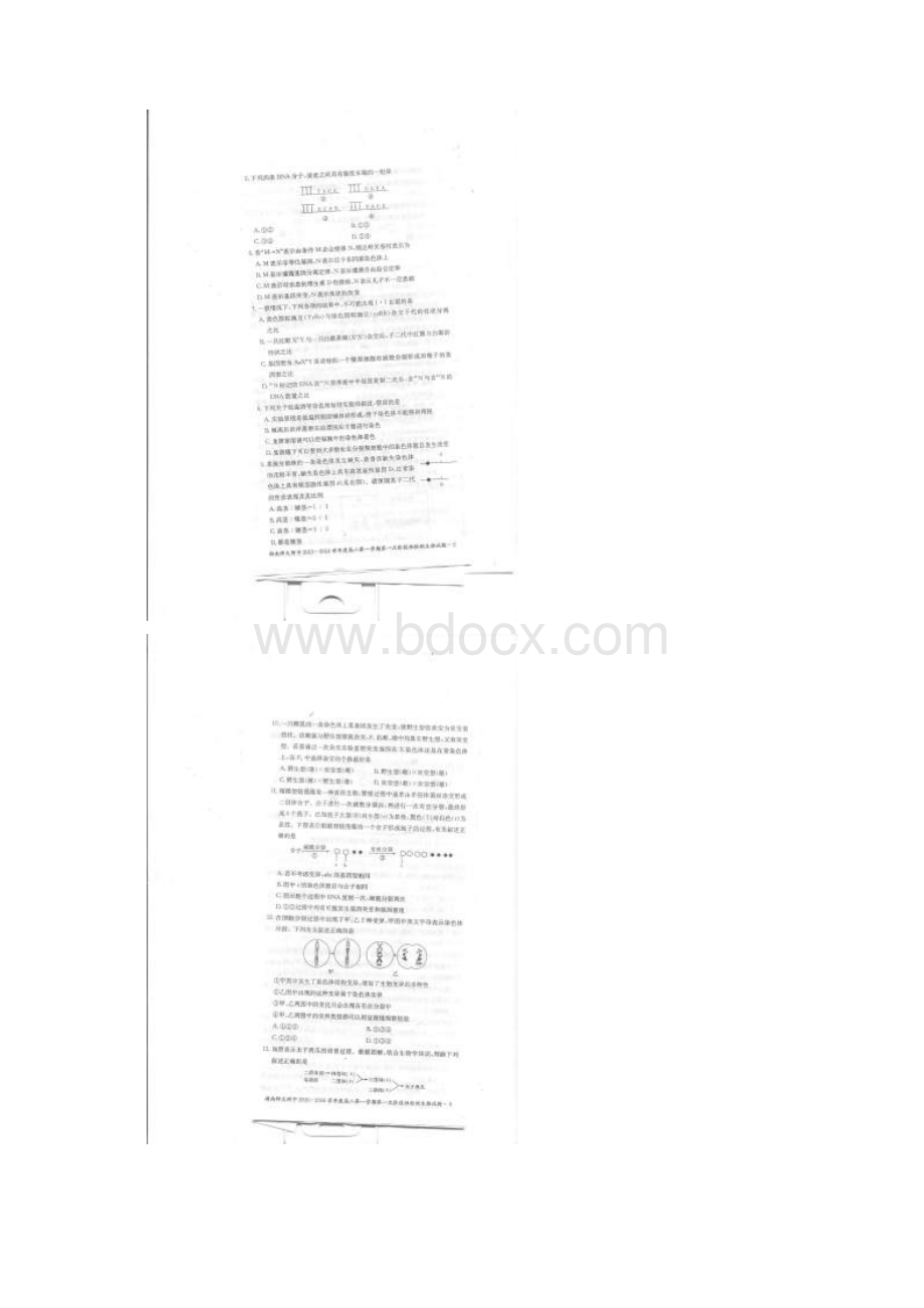 湖南省师大附中 高二生物上学期第一次阶段性检测试题扫描版.docx_第2页