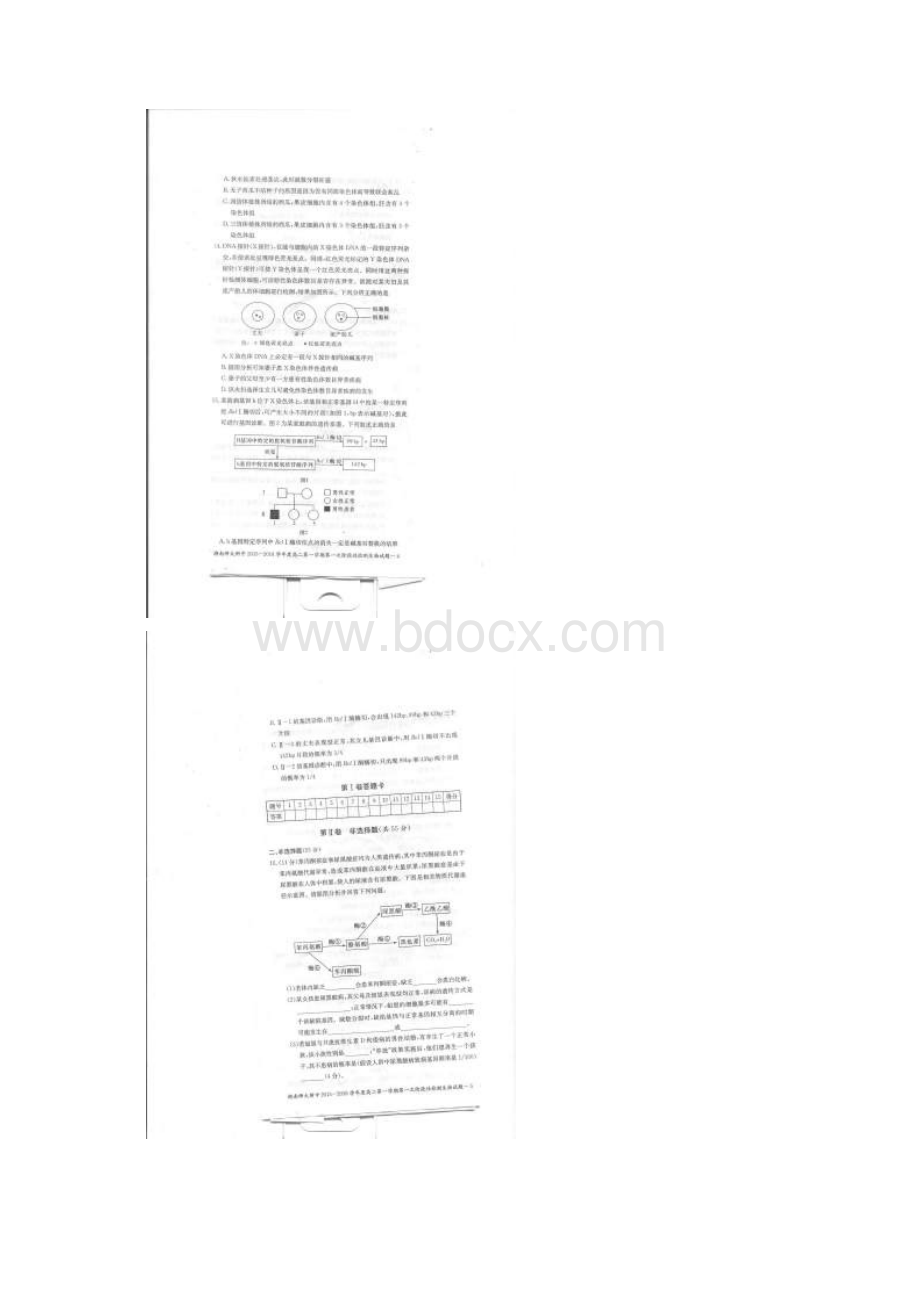 湖南省师大附中 高二生物上学期第一次阶段性检测试题扫描版.docx_第3页