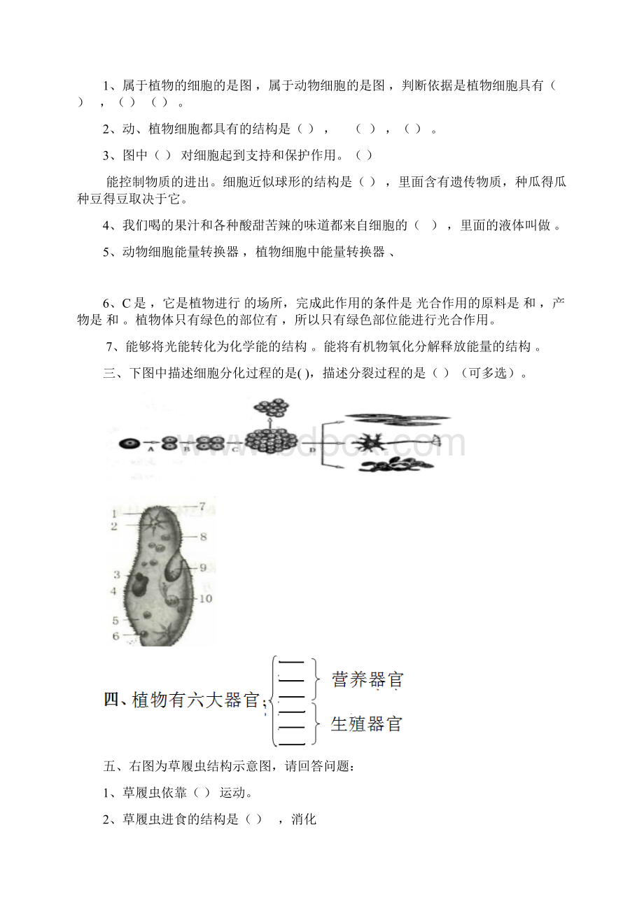 初中生物识图题专练含答案.docx_第2页