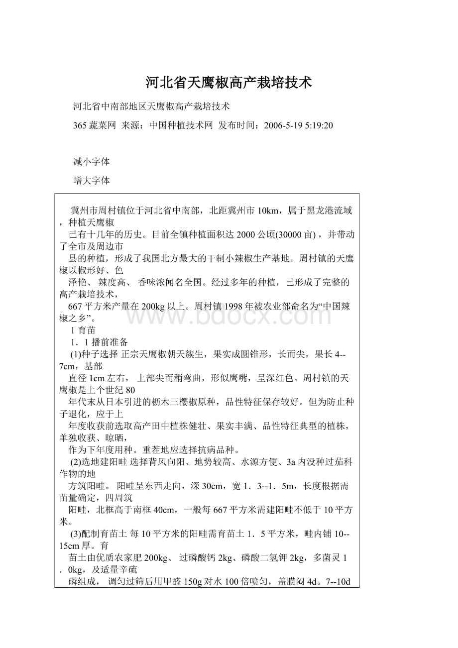 河北省天鹰椒高产栽培技术文档格式.docx