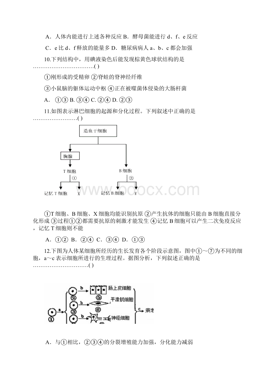 上海市十二校届高三生物联考试题.docx_第3页