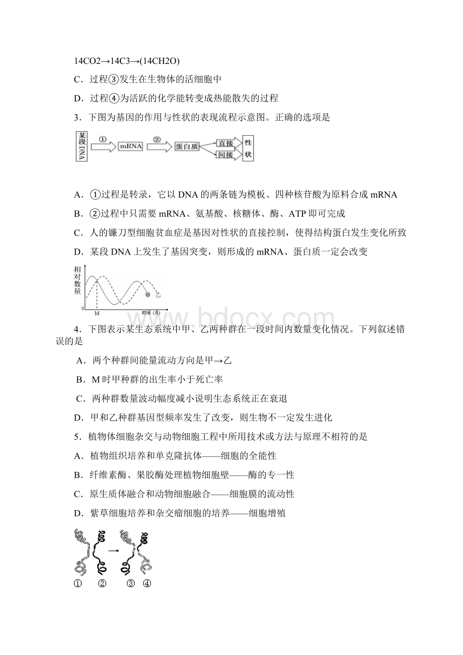 江门市高考模拟考试理科综合试题.docx_第2页