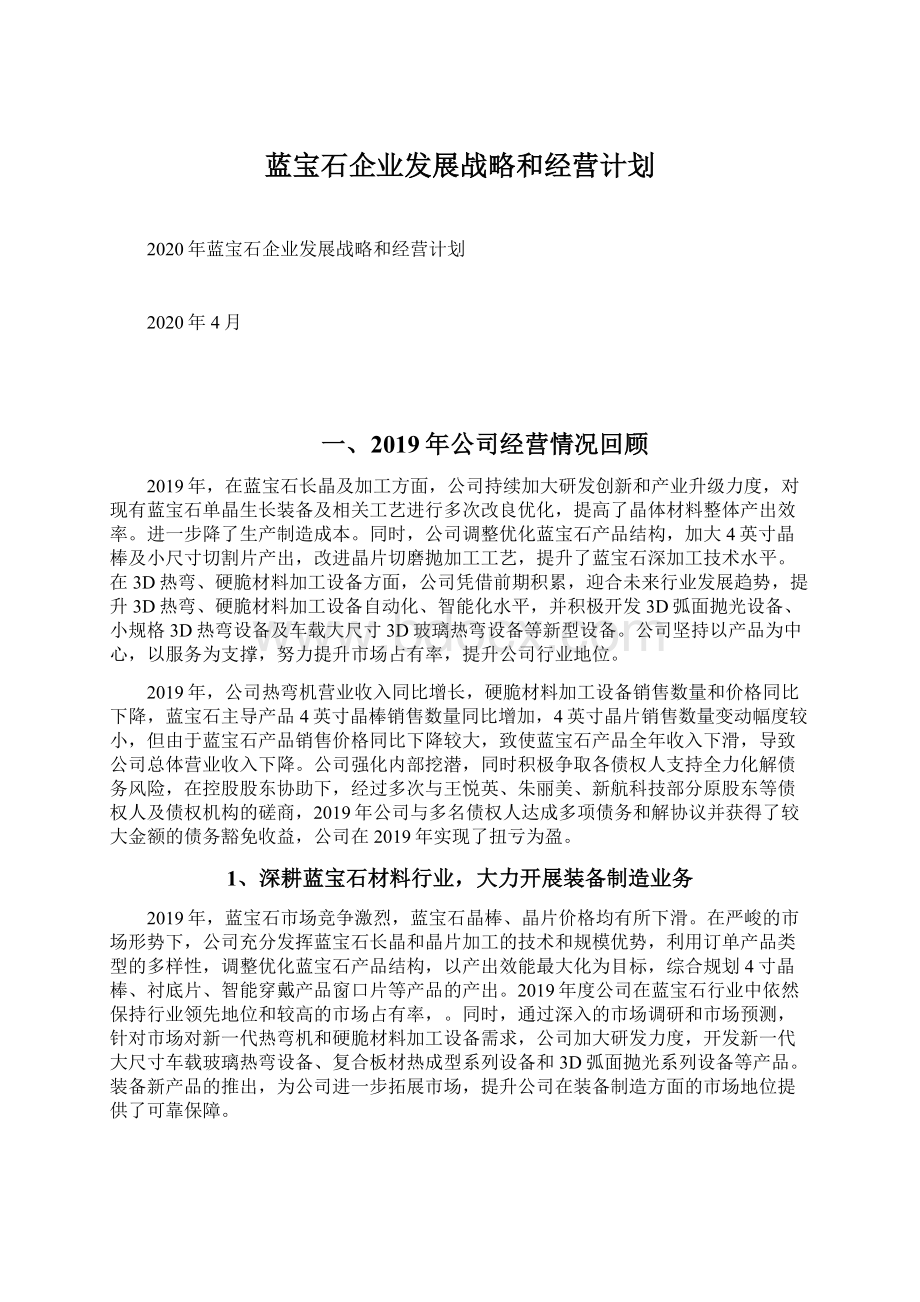 蓝宝石企业发展战略和经营计划.docx_第1页