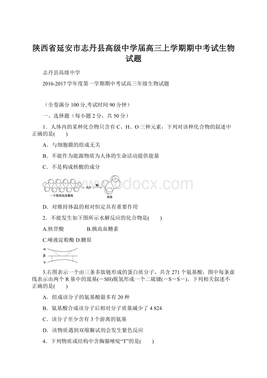 陕西省延安市志丹县高级中学届高三上学期期中考试生物试题.docx