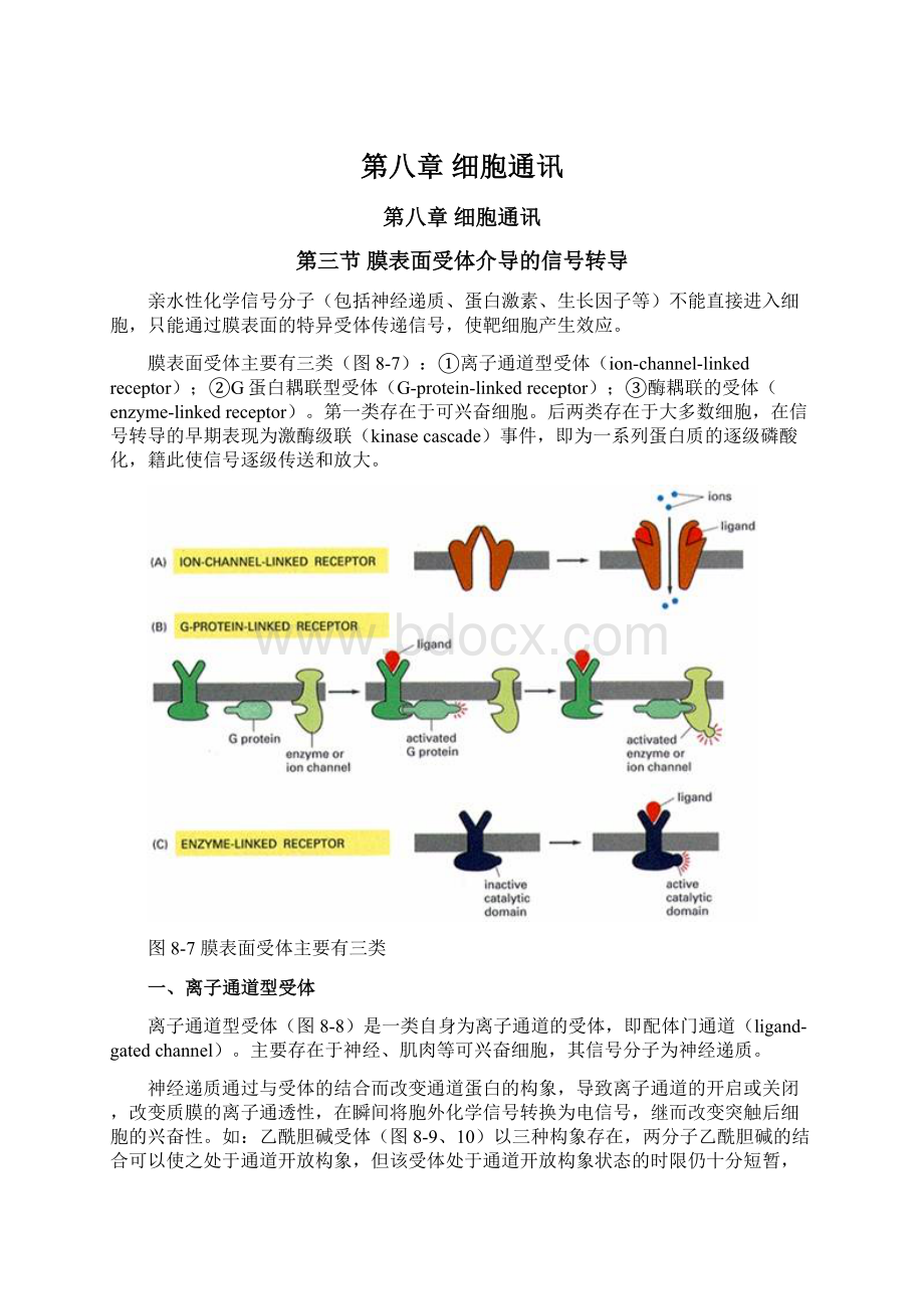 第八章 细胞通讯文档格式.docx