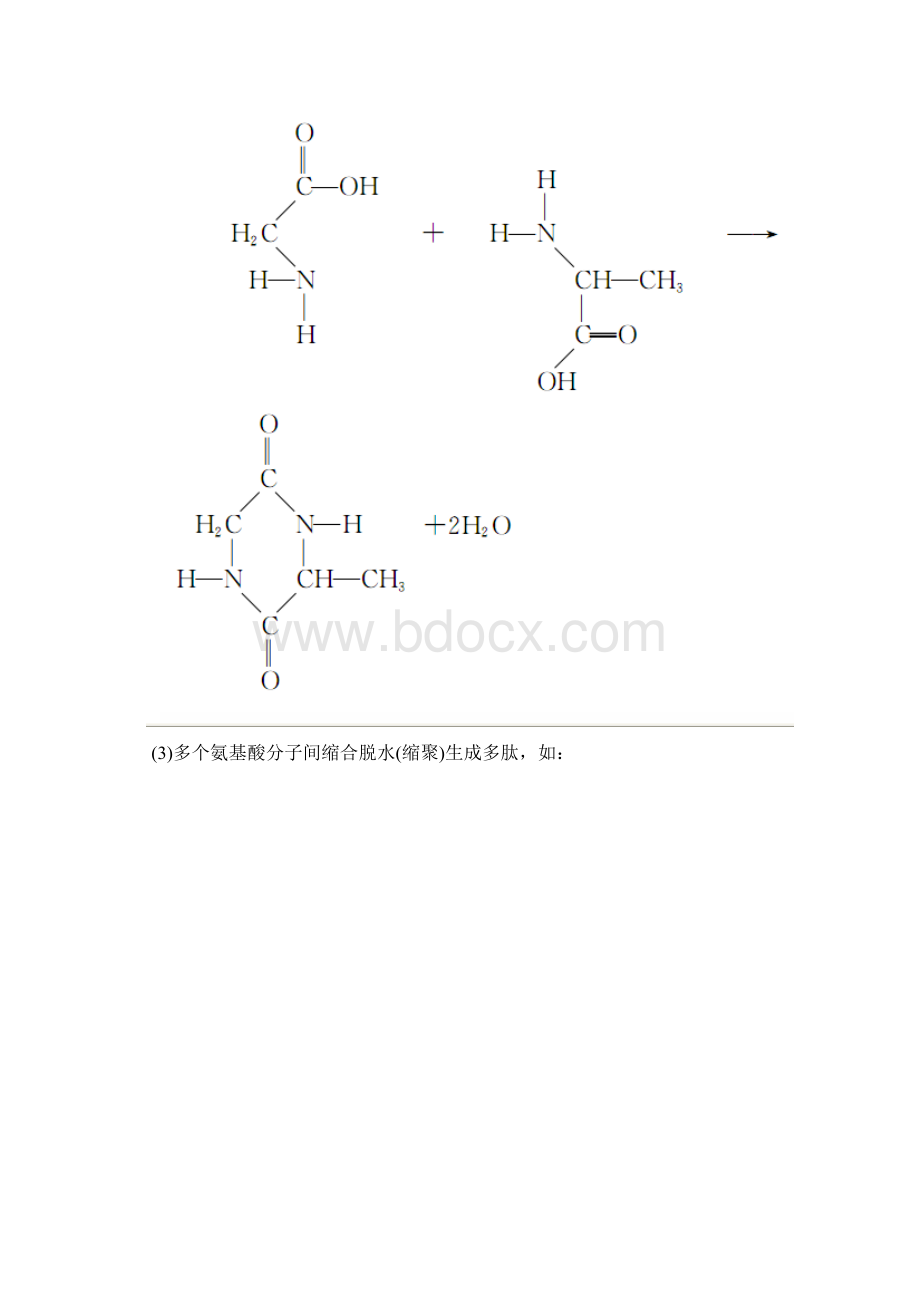 第三节生命的基础.docx_第3页