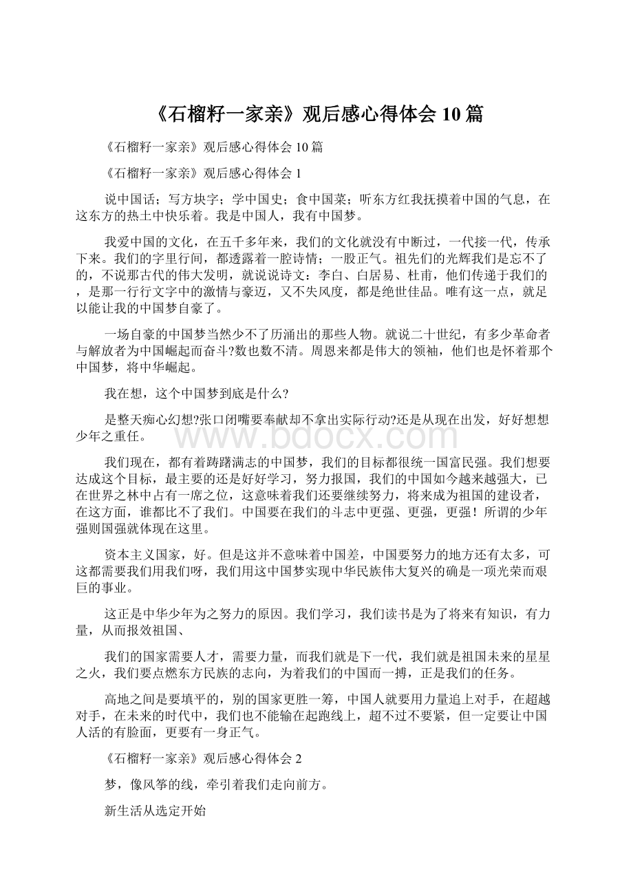 《石榴籽一家亲》观后感心得体会10篇.docx