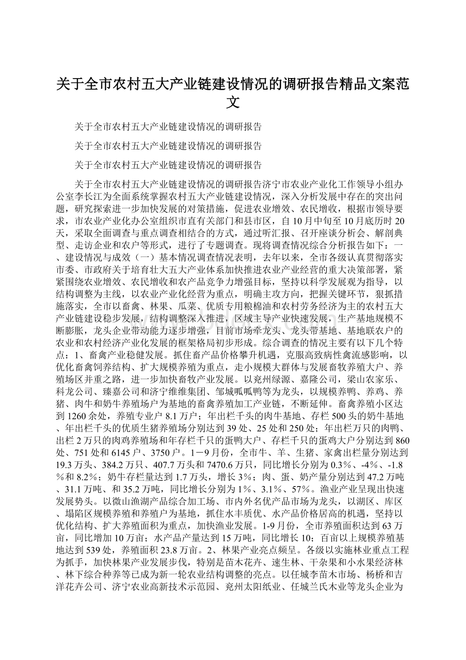 关于全市农村五大产业链建设情况的调研报告精品文案范文Word下载.docx