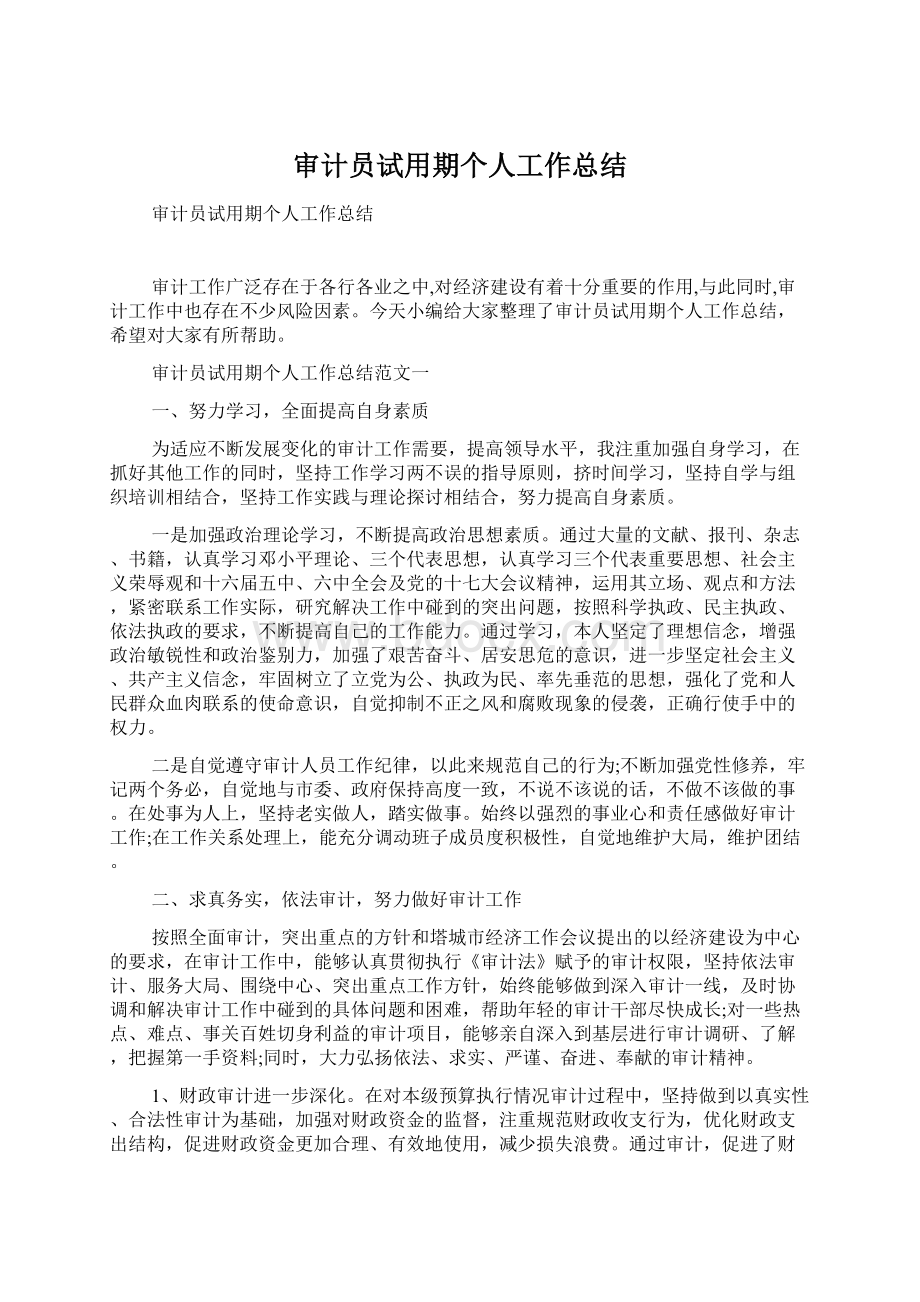 审计员试用期个人工作总结.docx_第1页