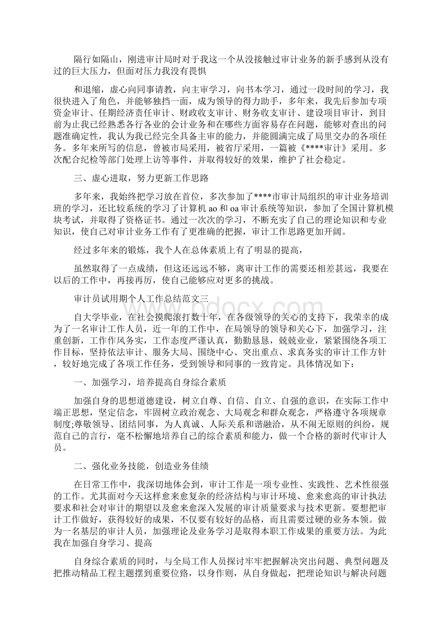 审计员试用期个人工作总结.docx_第3页