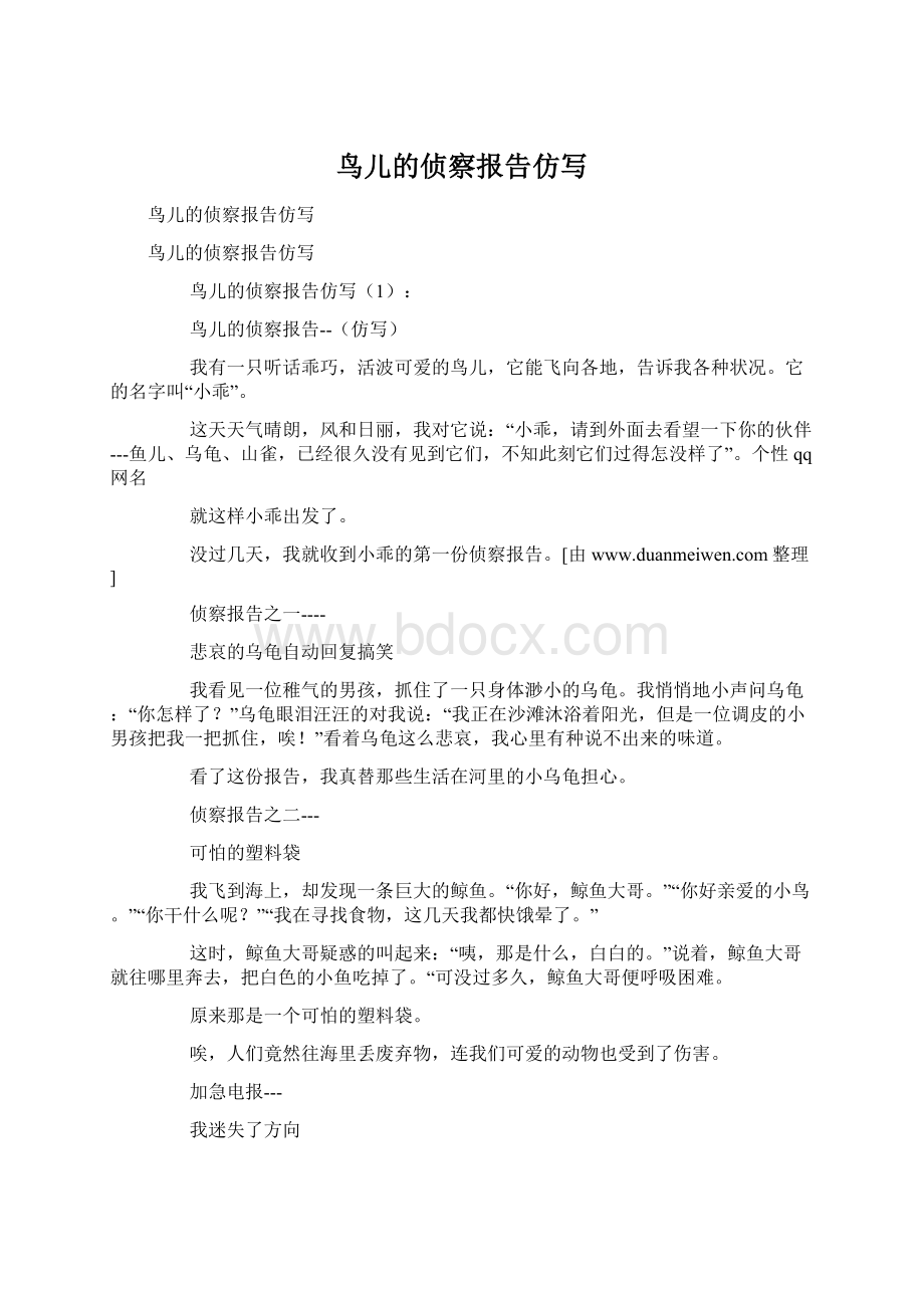 鸟儿的侦察报告仿写.docx_第1页