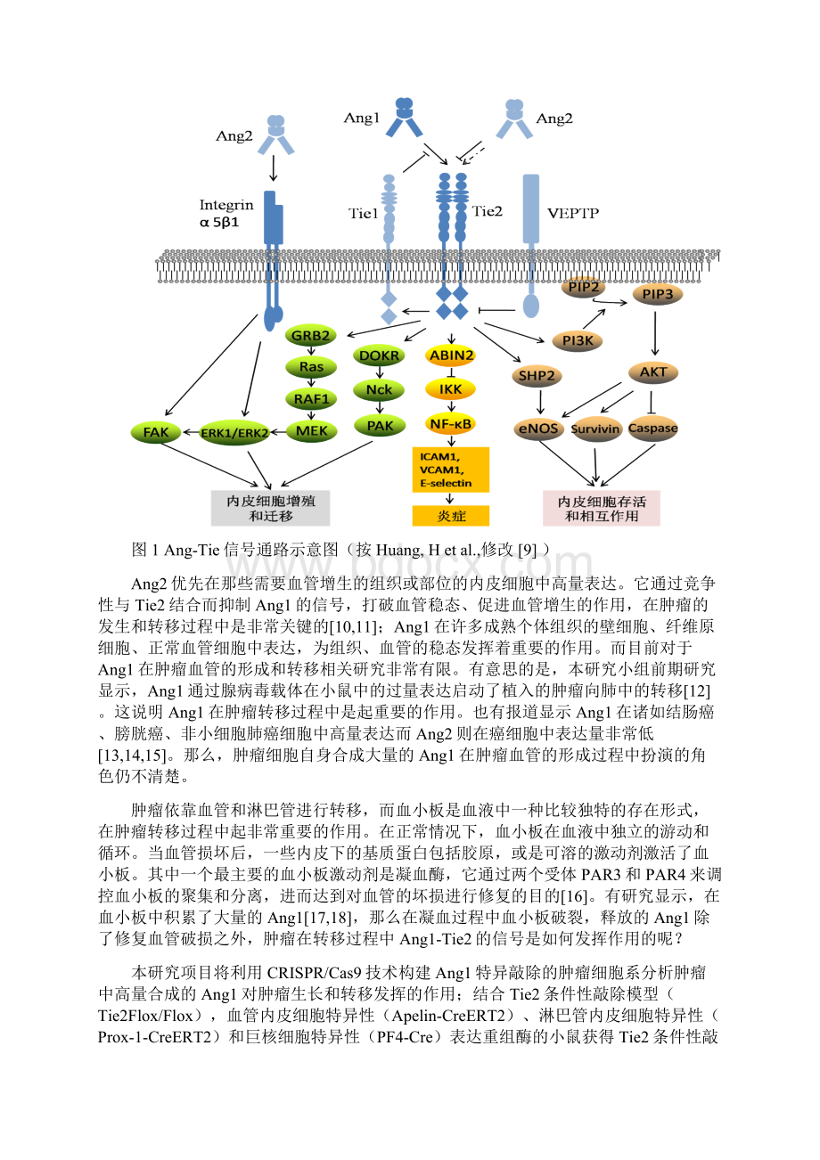 青年科学基金填报说明与撰写提纲.docx_第2页