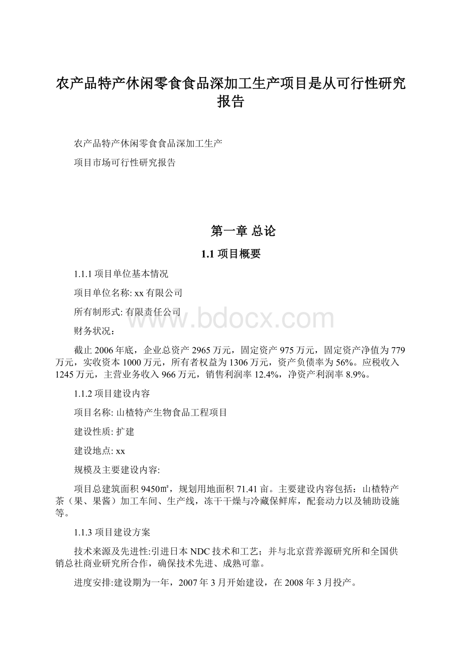 农产品特产休闲零食食品深加工生产项目是从可行性研究报告Word格式.docx