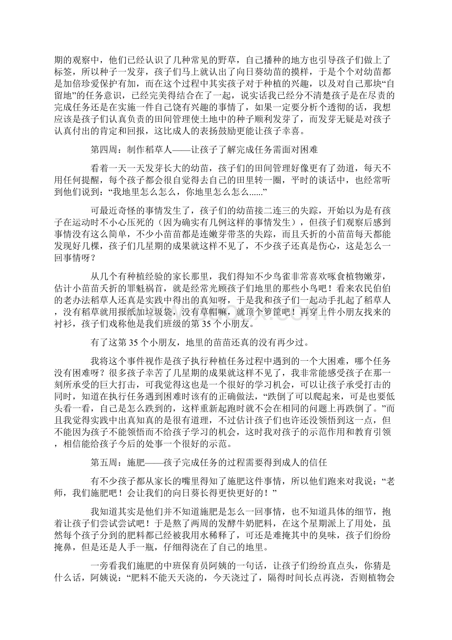 大班学习活动自留地中的向日葵.docx_第3页